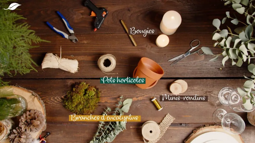 Matériel du tuto déco de table botanic : bougies, pots horticoles, mini-rondins et branches d’eucalyptus