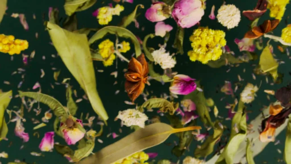 Pétales, feuilles et étoiles de badiane en suspension filmés en macro au ralenti, spot Les Jardins de Marion
