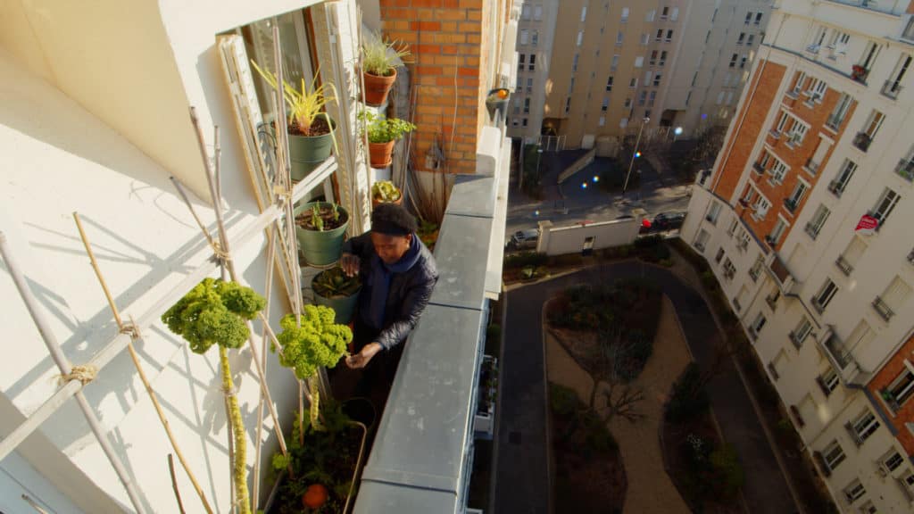 Balcon potager en étage au-dessus d’une cour d’immeubles, websérie botanic®
