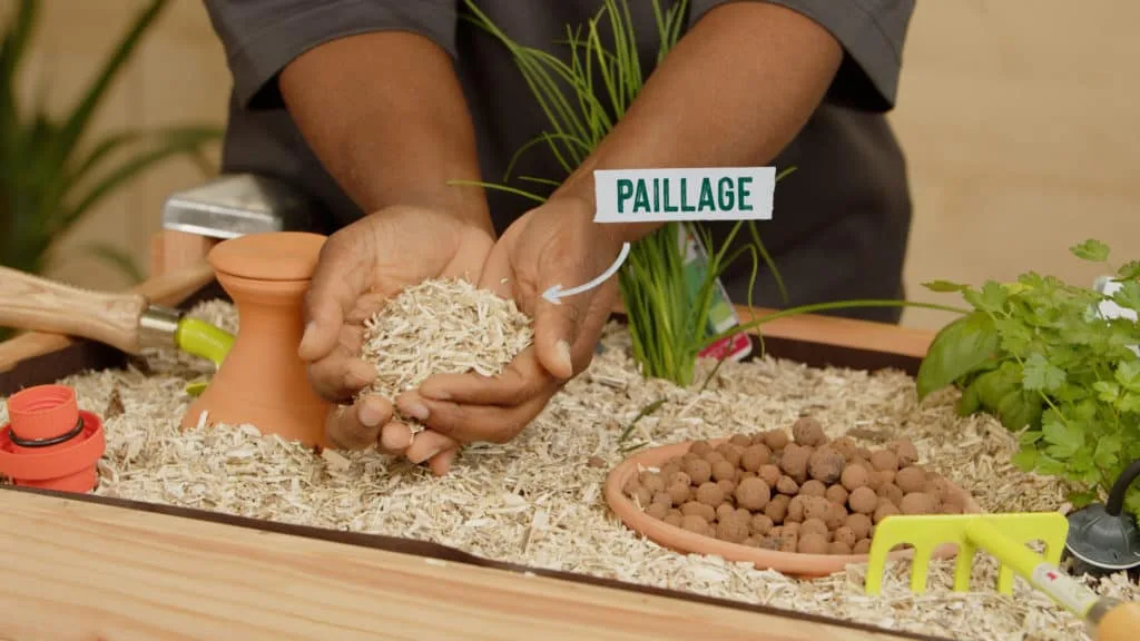 Mains présentant du paillage au-dessus d’un bac de plantation, websérie tuto jardinage botanic