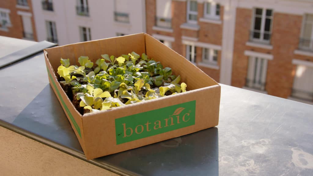 Carton botanic® de jeunes plants posé sur le rebord d’un balcon
