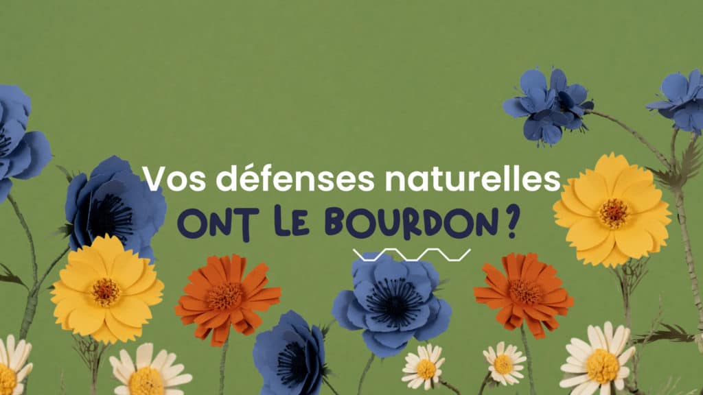 Fleurs en papier découpé sur fond vert, texte « Vos défenses naturelles ont le bourdon ? », spot Apilis