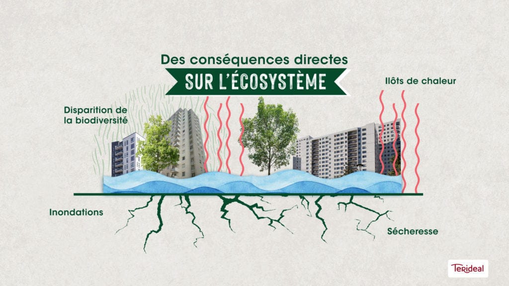Îlots de chaleur, inondations et sécheresse, texte « Des conséquences directes sur l’écosystème », film Terideal
