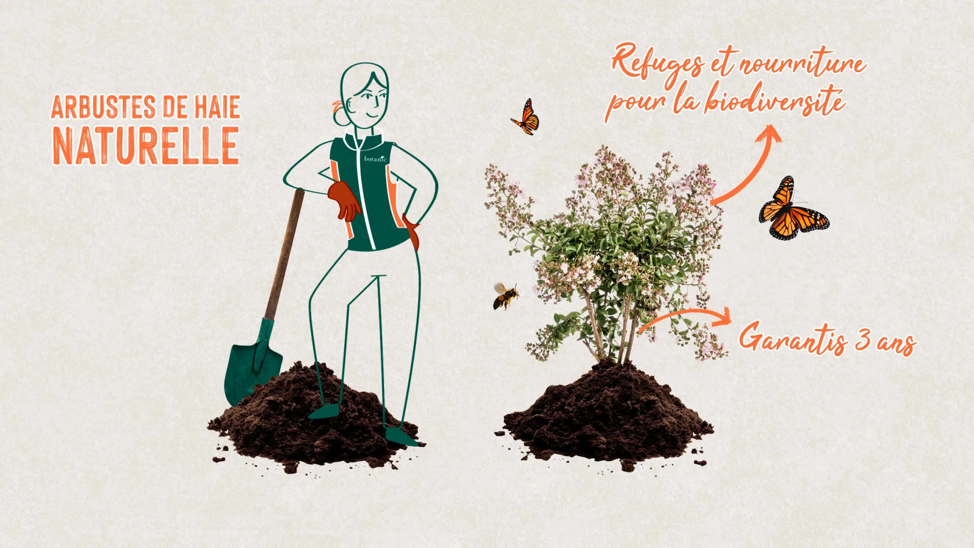 Direction artistique style organique et végétal pour le film pédagogique Botanic