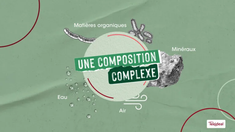 Motion design pour Terideal : « Une composition complexe », matières organiques, minéraux, eau et air
